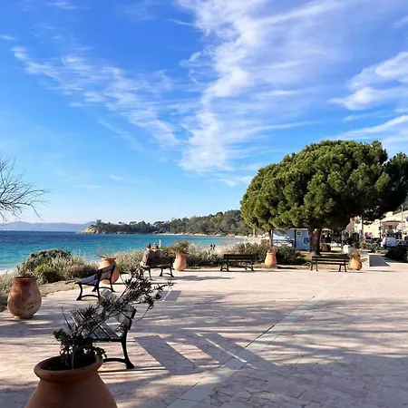 Appartement Ce040-g076 2 Pieces 6 Couchages Le Lavandou